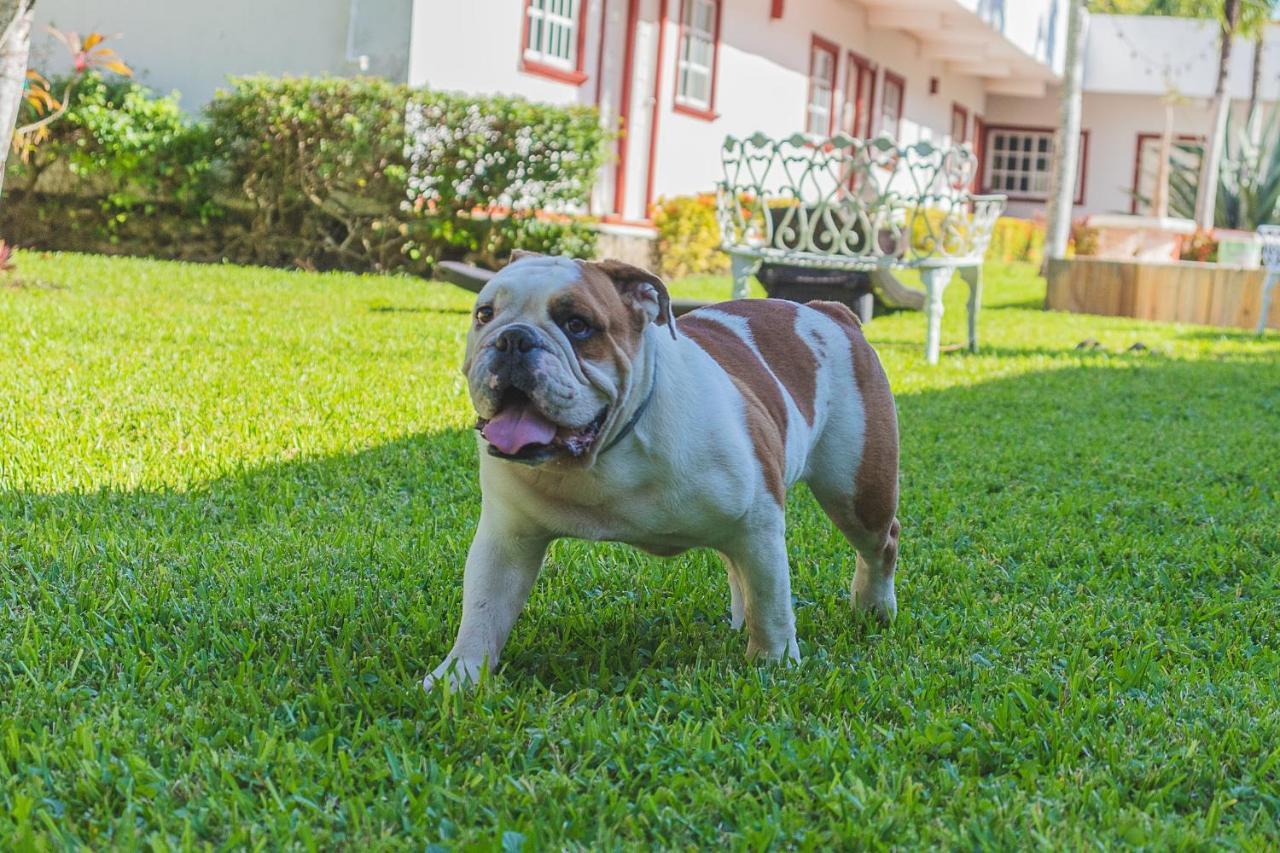 Hotel Lagoon - Pet Friendly Τσετουμάλ Εξωτερικό φωτογραφία